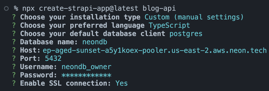 Create Strapi CMS project